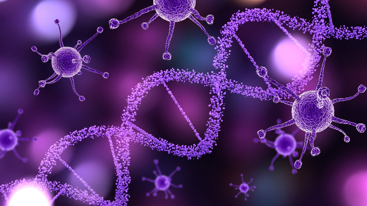 CellVital: Proč je buněčné zdraví důležité