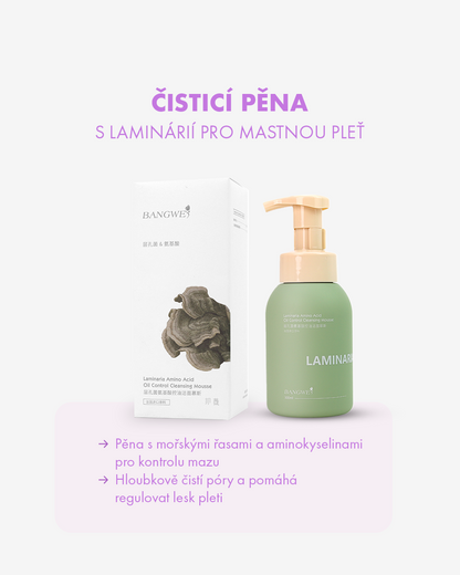 Čisticí pěna s laminárií pro regulaci mazu 300 ml