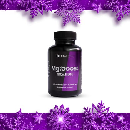 Mg:BOOST (90 kapslí)