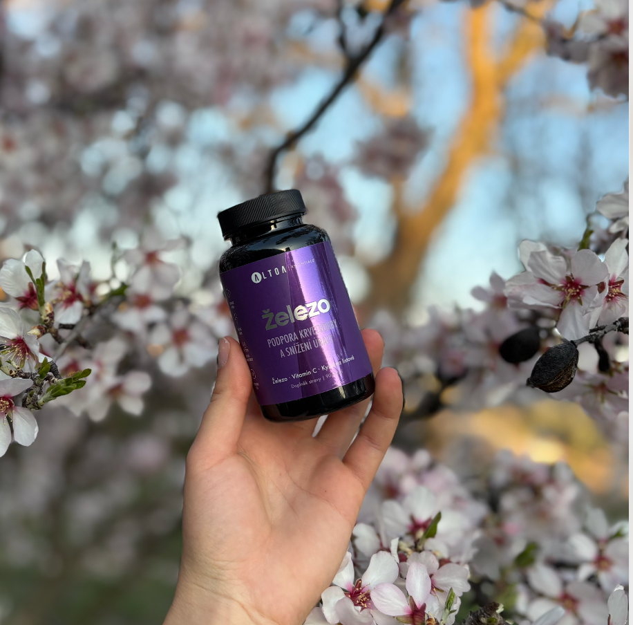 Železo - (90 kapslí)